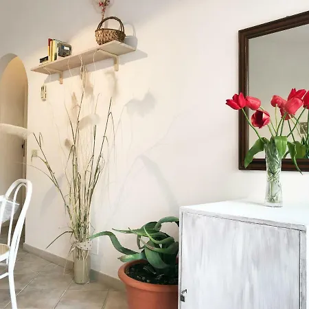 Apartment Il Terrazzo In Centro